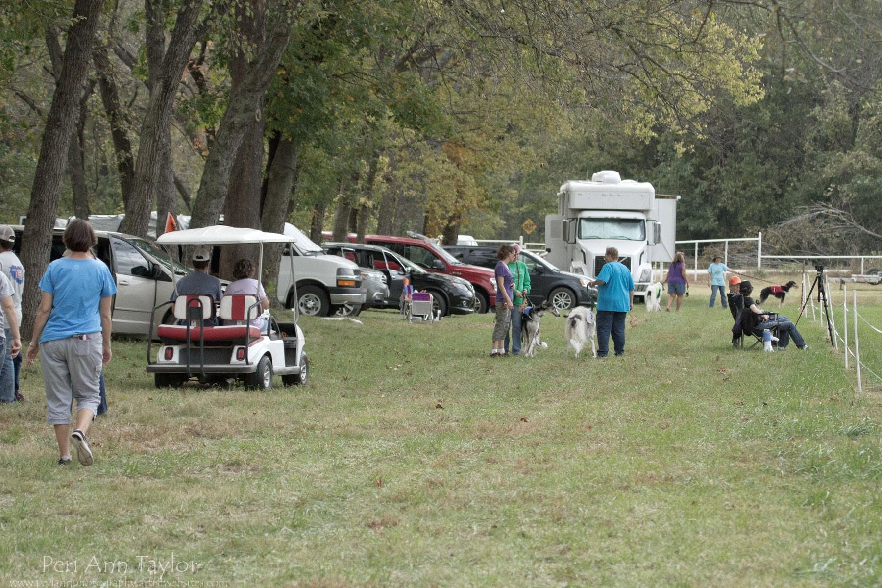 Exhibitors, hounds and vehicles along the gallery at a lure coursing field